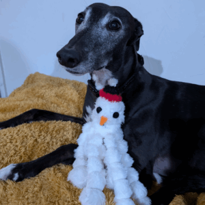 Christmas Caterpillars and Octopus Toys