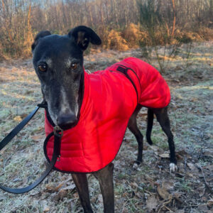 Vetra Sighthound Coat
