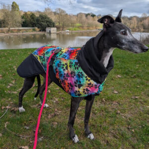 Envis Sighthound Coat