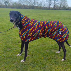 Savanna Sighthound Raincoat